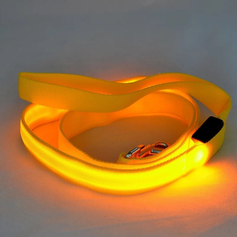 YTYINCN WaterproofDurable LED Light Up Dog Leash HighVisibilityNighttimeIllumination Accessory
