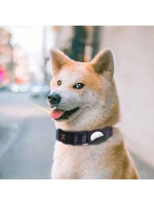 Guangdong Reflective Nylon Dog Collar With AirTag Tracking Case