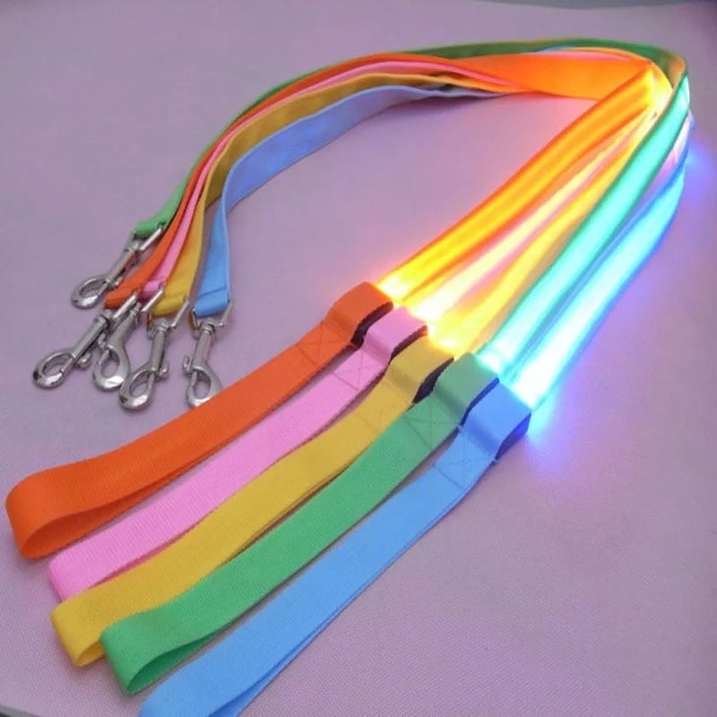 YTYINCN WaterproofDurable LED Light Up Dog Leash HighVisibilityNighttimeIllumination Accessory