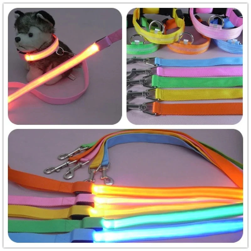 YTYINCN WaterproofDurable LED Light Up Dog Leash HighVisibilityNighttimeIllumination Accessory