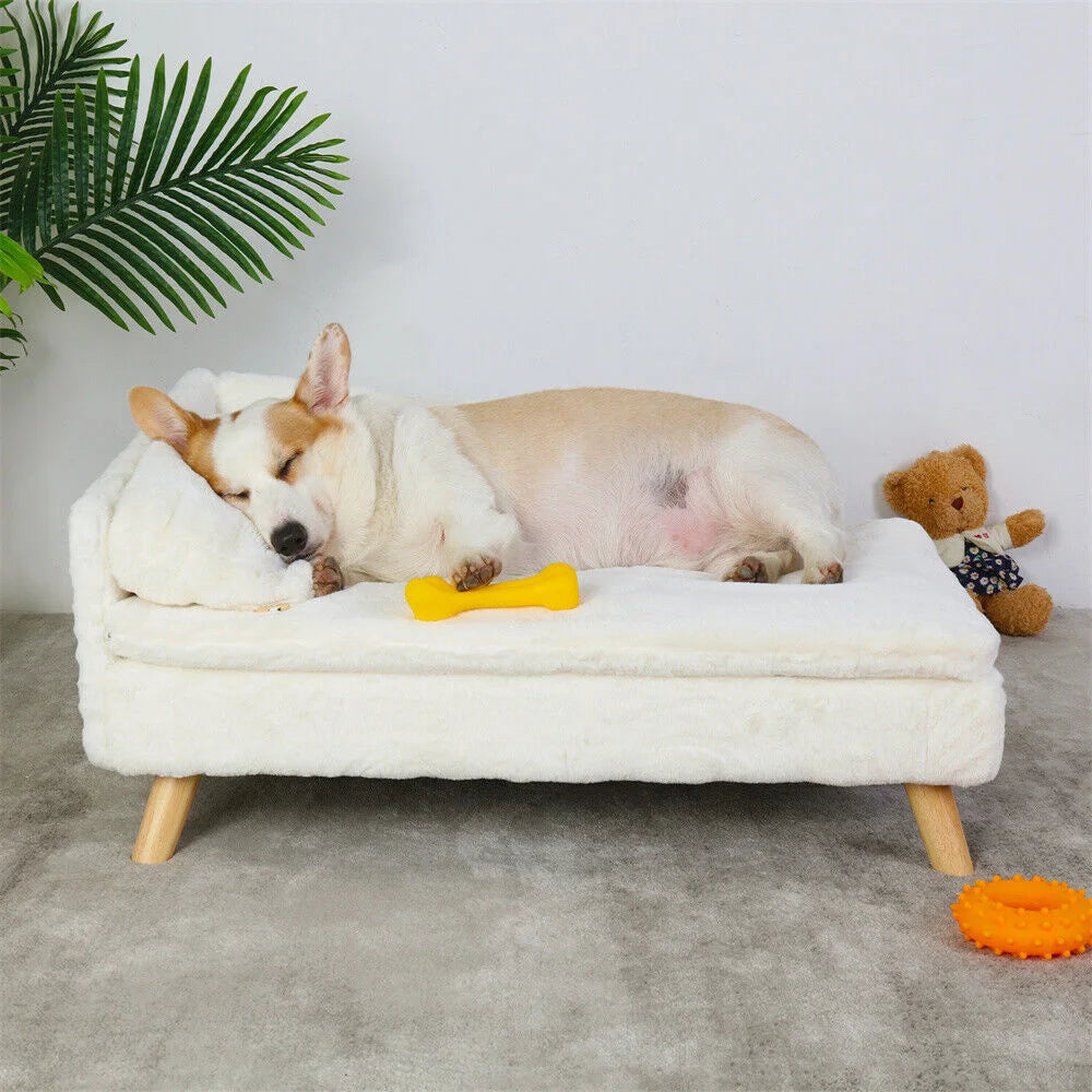 BORWARTCN Luxury Elevated Dog Sofa Bed With Backrest