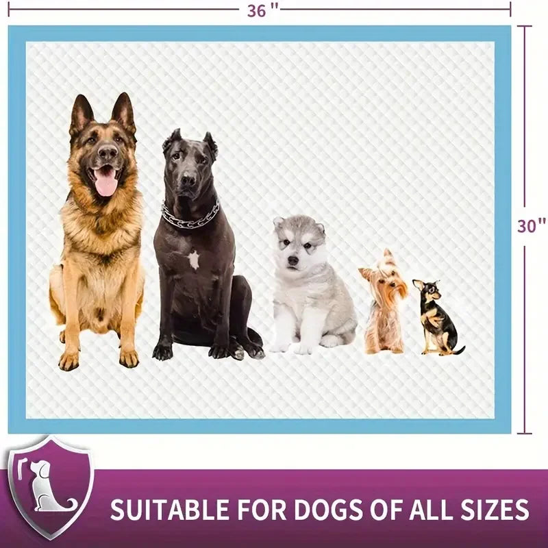 Dog Litter Premium Disposable Dog Training Pads Super Absorbent Leakproof