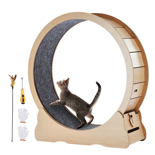 Shanghai Wooden Cat Exercise Wheel For Indoor Cats With Detachable Carpet